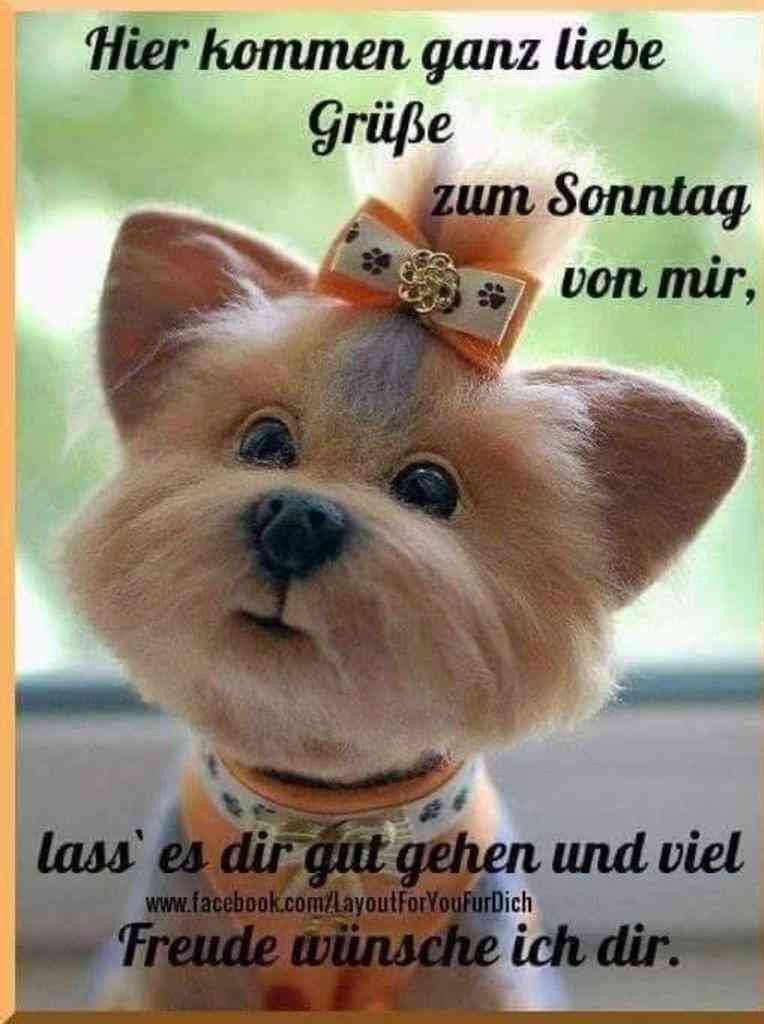 schönen sonntag wünsche ich dir