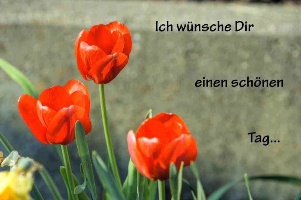 schönen tag wünsche ich dir