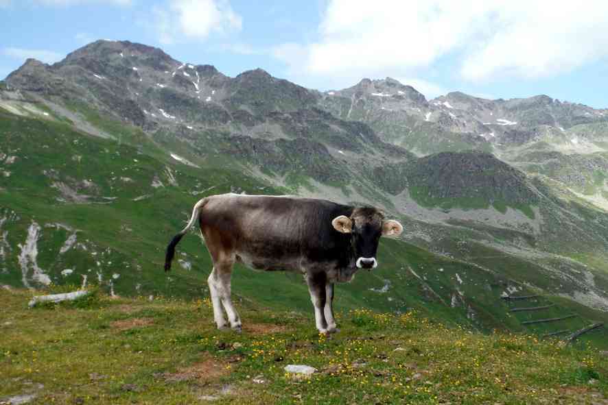 schönen urlaub berge lustig