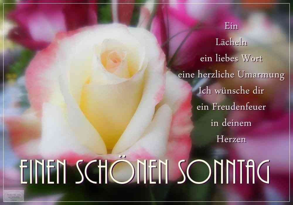 wünsche einen schönen sonntag
