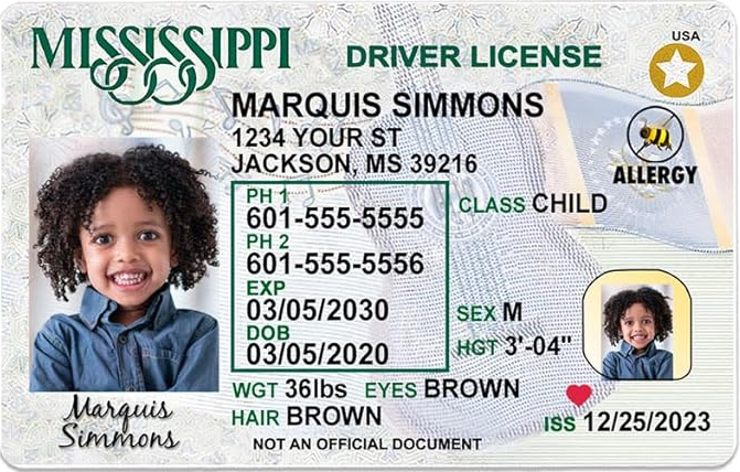 Unveiling the New Driver’s License Design Featuring Mississippi Drivers License