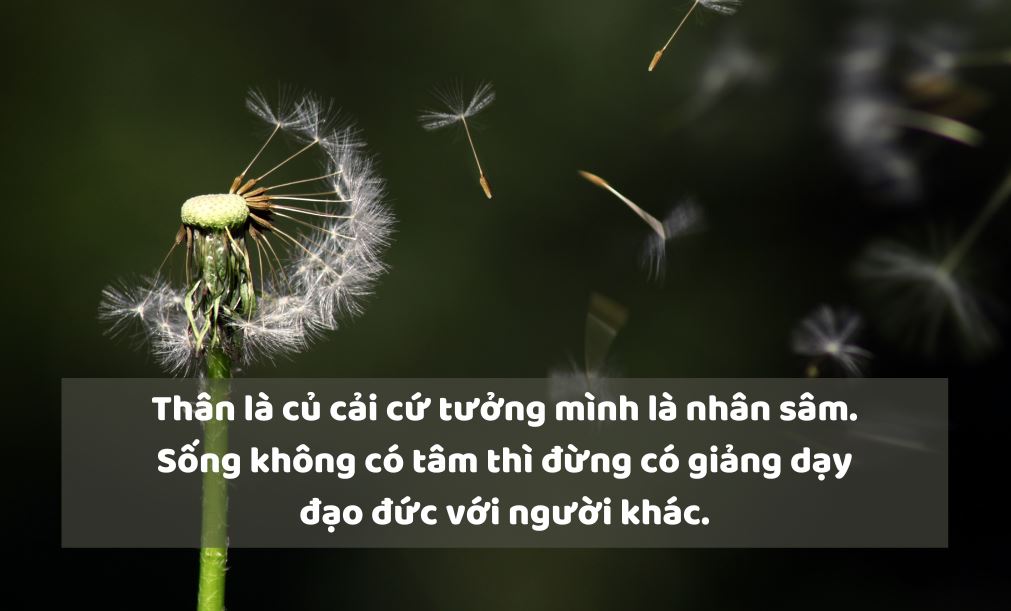 Những STT Về Cuộc Sống Chất Khám Phá Những Triết Lý Sống Tinh Tế