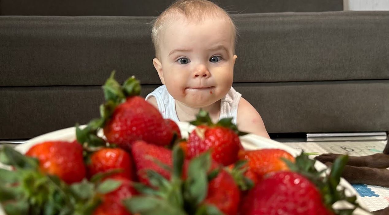 The Strawberry Kid Viral Video How One Adorable Clip Captured Hearts Around the Globe