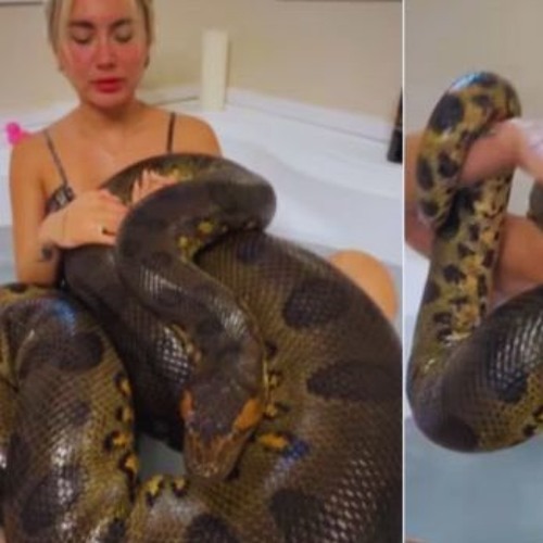 One Girl One Anaconda Video Unveiling the Viral Sensation